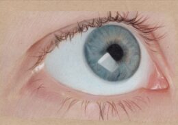 Eye of the Muse