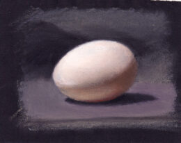 An egg study